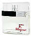 F by Ferragamo for Men by Salvatore Ferragamo (100ml)
