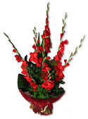 Red Glads Bouquet