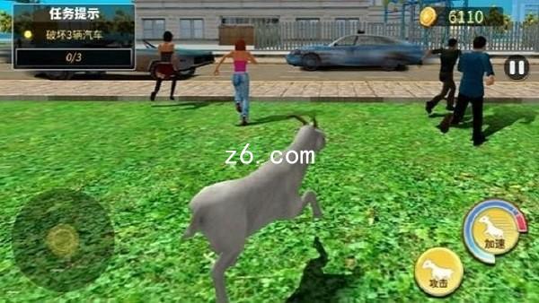 z6.com