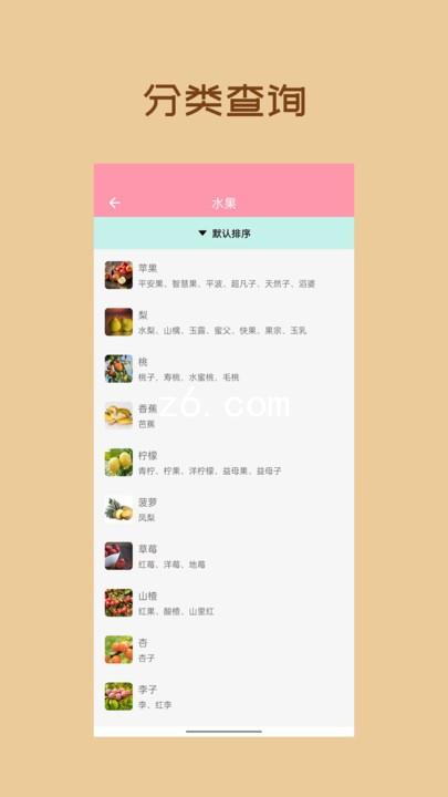 z6.com