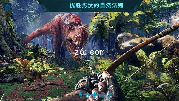 z6.com