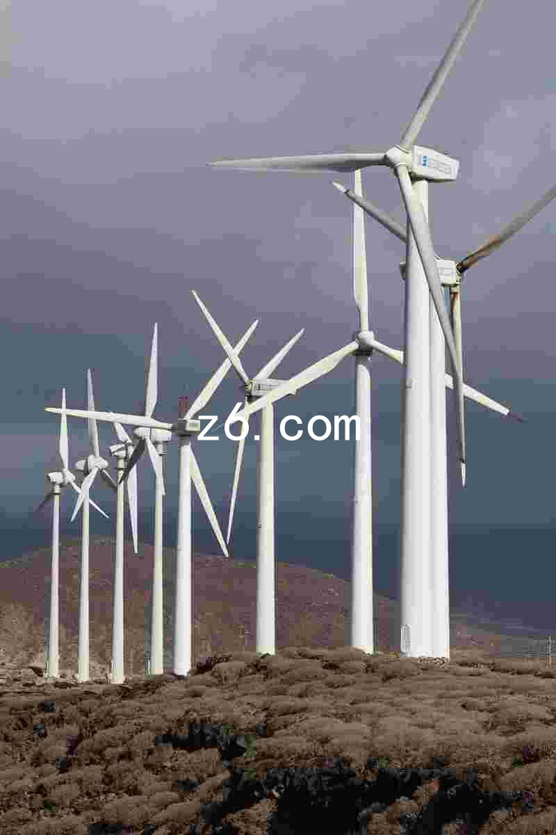 z6.com