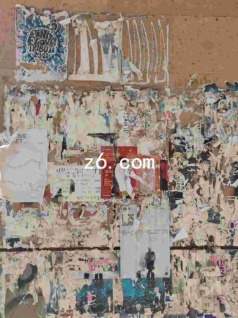 z6.com