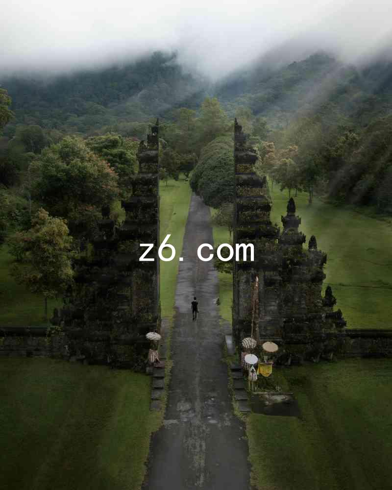 z6.com