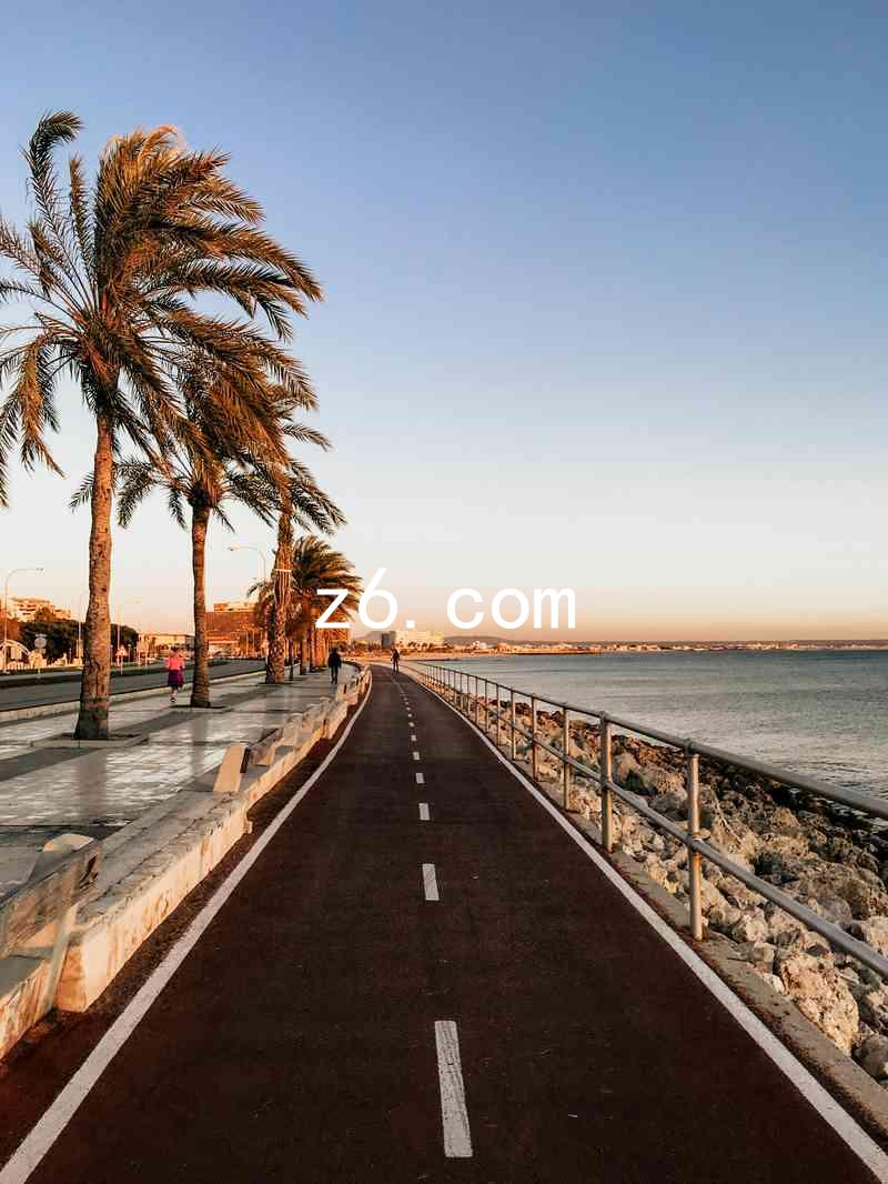 z6.com