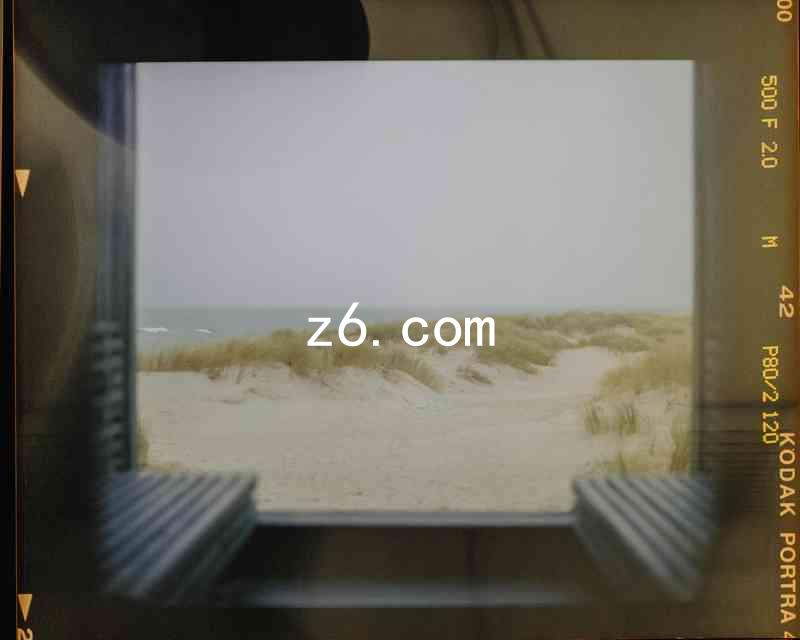 z6.com
