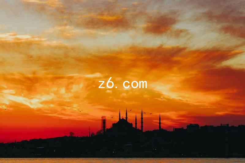 z6.com