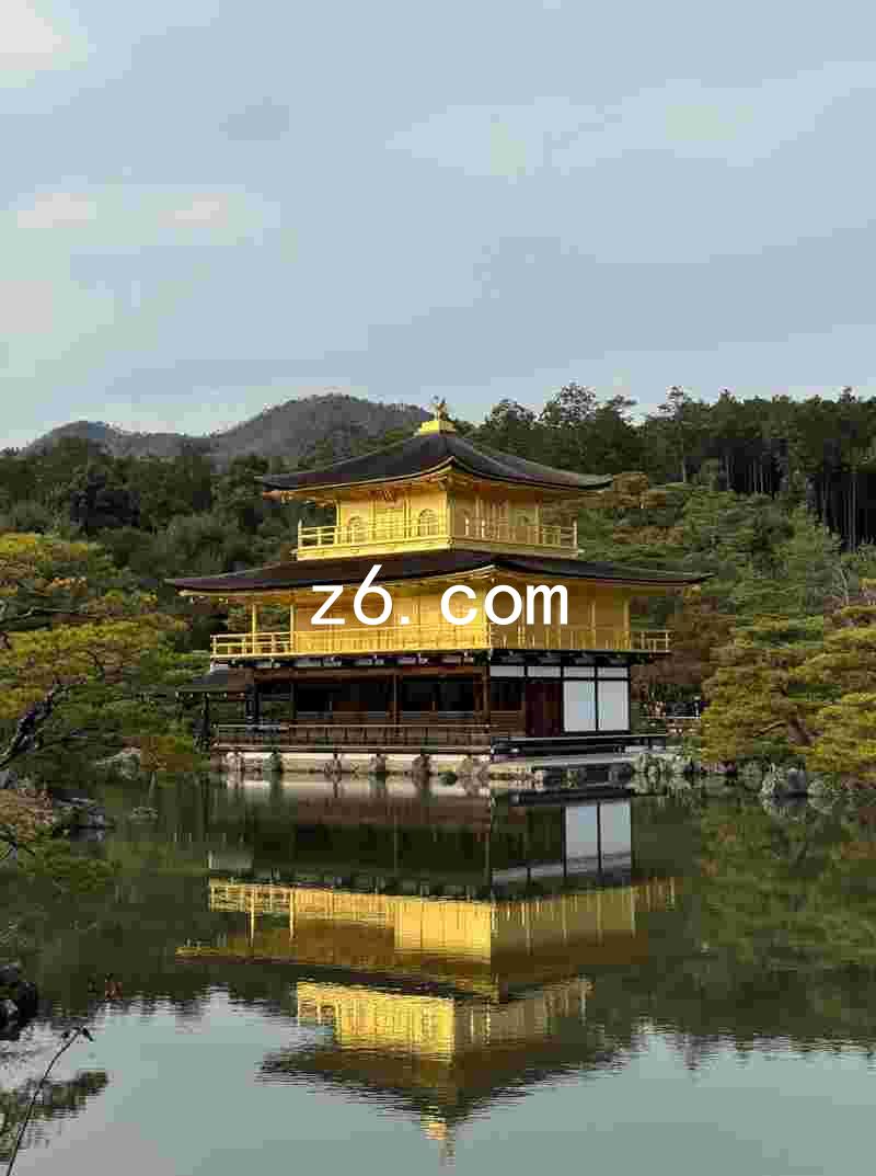 z6.com